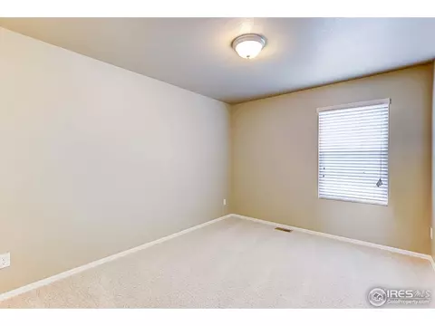 916 Pierson Ct, Windsor, CO 80550 photo 22