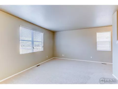 916 Pierson Ct, Windsor, CO 80550 photo 7