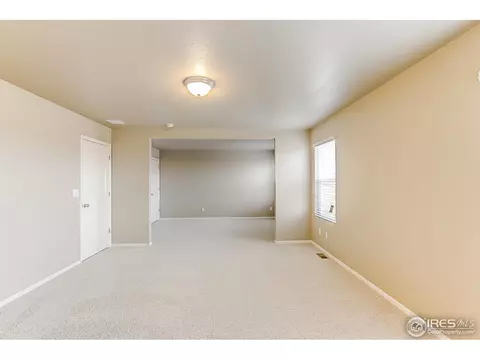 916 Pierson Ct, Windsor, CO 80550 photo 14