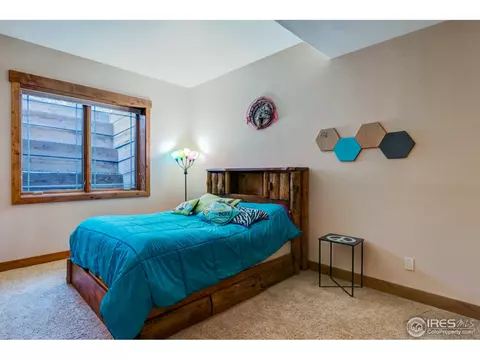 37082 Soaring Eagle Ct, Severance, CO 80550 photo 26