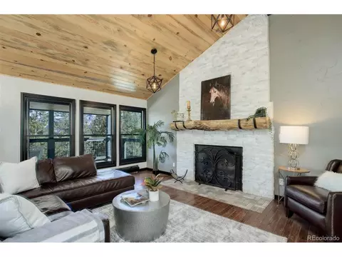 34 Nova Cir, Pine, CO 80470 photo 12