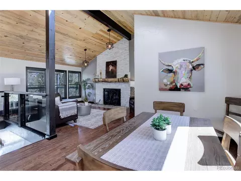 34 Nova Cir, Pine, CO 80470 photo 9