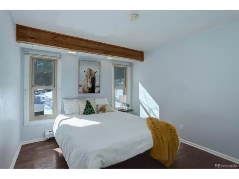 34 Nova Cir, Pine, CO 80470 photo 28