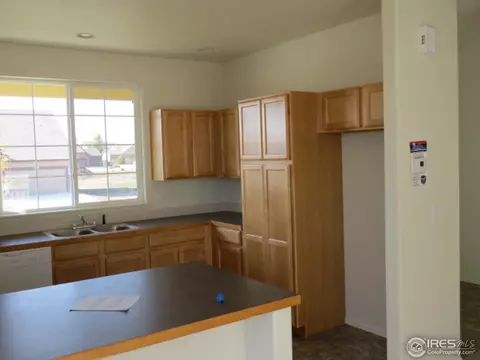 848 Sunlight Peak Dr, Windsor, CO 80550 photo 6
