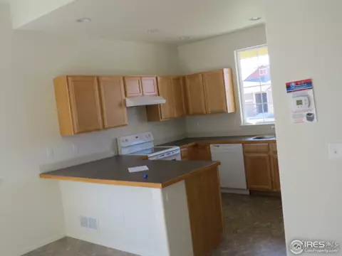 848 Sunlight Peak Dr, Windsor, CO 80550 photo 5