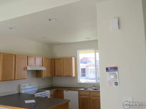 848 Sunlight Peak Dr, Windsor, CO 80550 photo 3