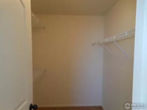 848 Sunlight Peak Dr, Windsor, CO 80550 photo 13