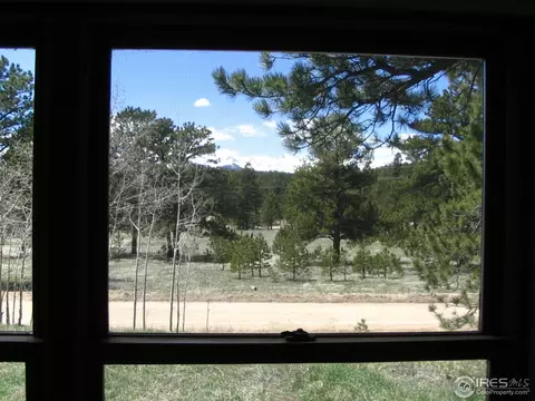 65 Sparn Way, Ward, CO 80481 photo 10