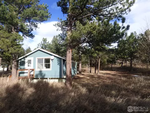 65 Sparn Way, Ward, CO 80481 photo 1