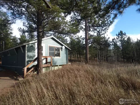 65 Sparn Way, Ward, CO 80481 photo 18