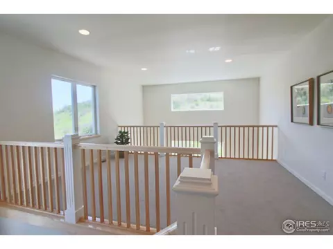 342 Mcconnell Dr, Lyons, CO 80540 photo 26