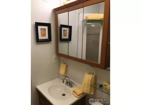 3608 Sabre Dr, Laporte, CO 80535 photo 9