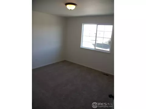 854 Sunlight Peak Dr, Windsor, CO 80550 photo 17