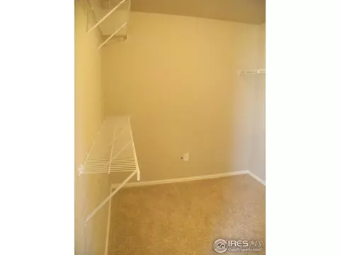 854 Sunlight Peak Dr, Windsor, CO 80550 photo 15