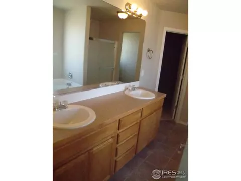854 Sunlight Peak Dr, Windsor, CO 80550 photo 13