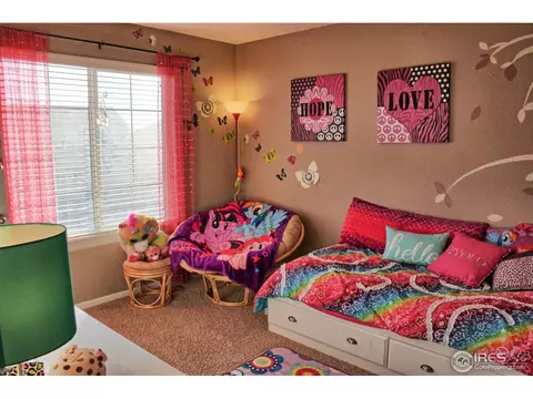 6691 S Kellerman Way, Aurora, CO 80016 photo 28