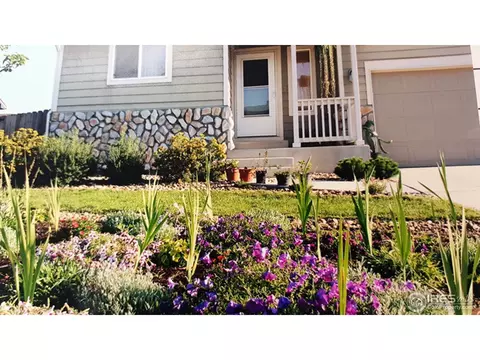 421 E 29th St, Greeley, CO 80631 photo 28