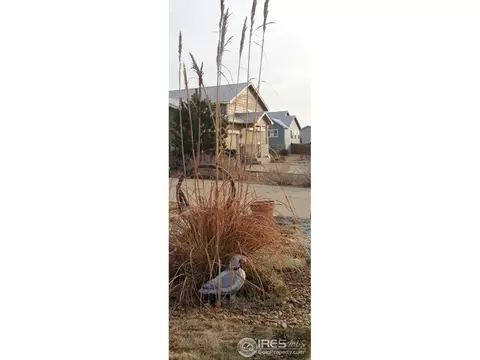 421 E 29th St, Greeley, CO 80631 photo 38