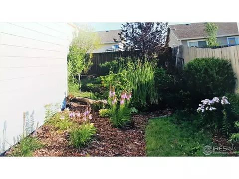 421 E 29th St, Greeley, CO 80631 photo 34