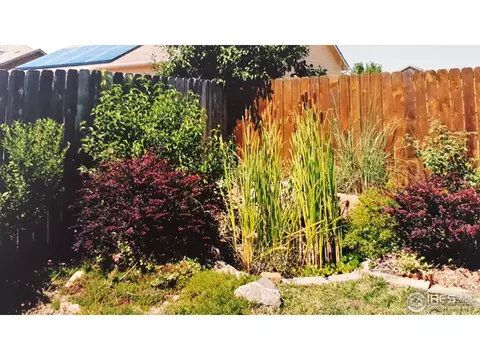 421 E 29th St, Greeley, CO 80631 photo 36