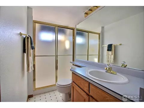 2953 E 133rd Ln, Thornton, CO 80241 photo 24