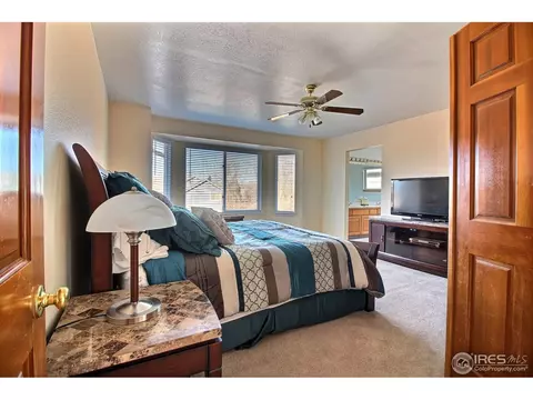 2953 E 133rd Ln, Thornton, CO 80241 photo 27