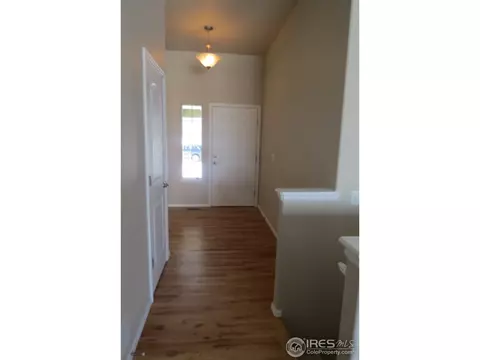 716 Elk Mountain Dr, Windsor, CO 80550 photo 4