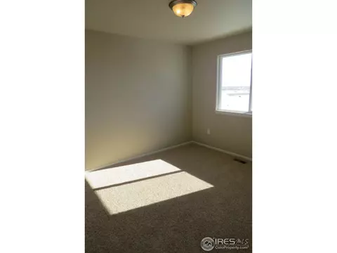 716 Elk Mountain Dr, Windsor, CO 80550 photo 16