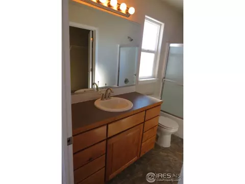 716 Elk Mountain Dr, Windsor, CO 80550 photo 5