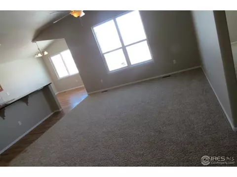 716 Elk Mountain Dr, Windsor, CO 80550 photo 8