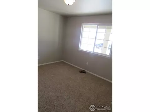 716 Elk Mountain Dr, Windsor, CO 80550 photo 13