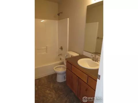 716 Elk Mountain Dr, Windsor, CO 80550 photo 6