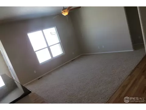 716 Elk Mountain Dr, Windsor, CO 80550 photo 9
