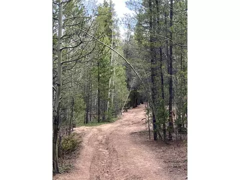 Fs 409.1 Rd, Black Hawk, CO 80422 photo 2
