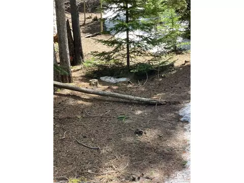 Fs 409.1 Rd, Black Hawk, CO 80422 photo 19
