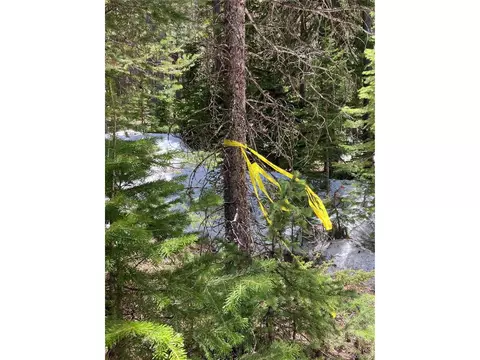 Fs 409.1 Rd, Black Hawk, CO 80422 photo 16