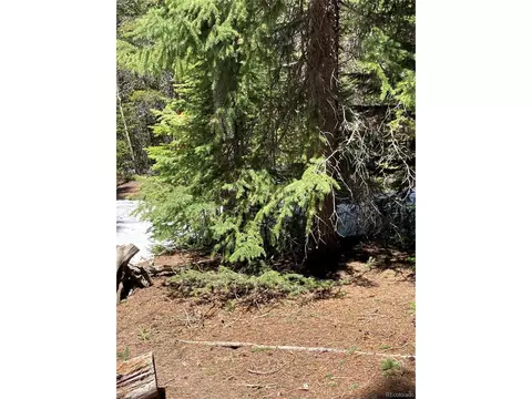 Fs 409.1 Rd, Black Hawk, CO 80422 photo 18
