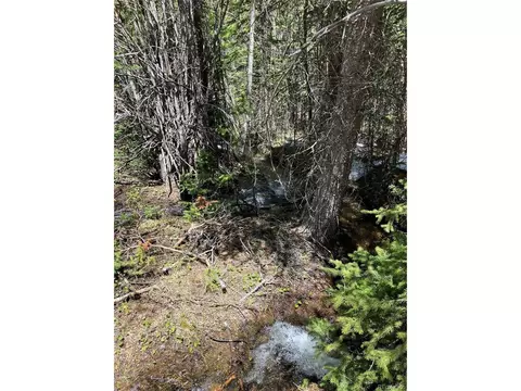 Fs 409.1 Rd, Black Hawk, CO 80422 photo 26
