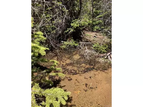 Fs 409.1 Rd, Black Hawk, CO 80422 photo 24