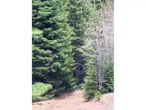 Fs 409.1 Rd, Black Hawk, CO 80422 photo 8