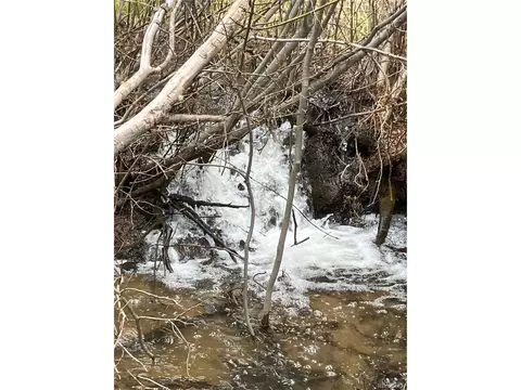 Fs 409.1 Rd, Black Hawk, CO 80422 photo 14