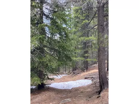 Fs 409.1 Rd, Black Hawk, CO 80422 photo 6