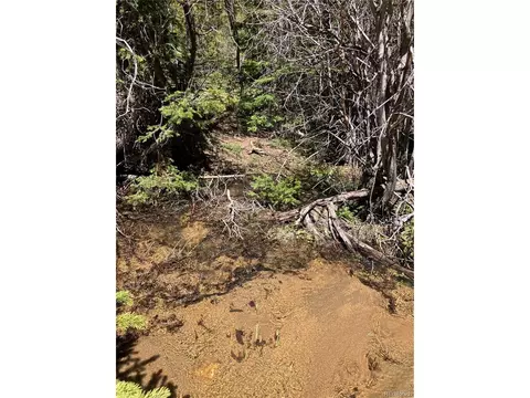 Fs 409.1 Rd, Black Hawk, CO 80422 photo 25