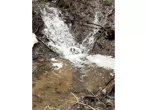 Fs 409.1 Rd, Black Hawk, CO 80422 photo 12