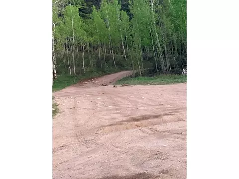 Fs 409.1 Rd, Black Hawk, CO 80422 photo 4
