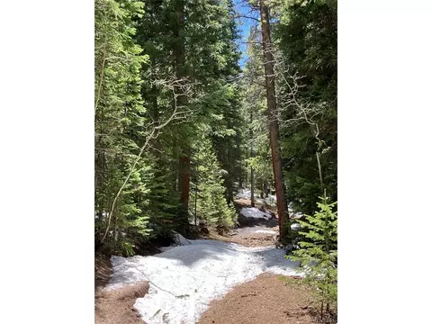 Fs 409.1 Rd, Black Hawk, CO 80422 photo 20