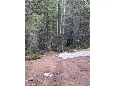 Fs 409.1 Rd, Black Hawk, CO 80422 photo 13