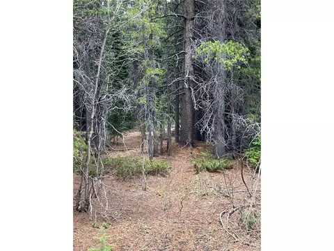 Fs 409.1 Rd, Black Hawk, CO 80422 photo 9