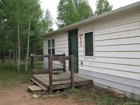 233 Sullivan St, Bailey, CO 80421 photo 3