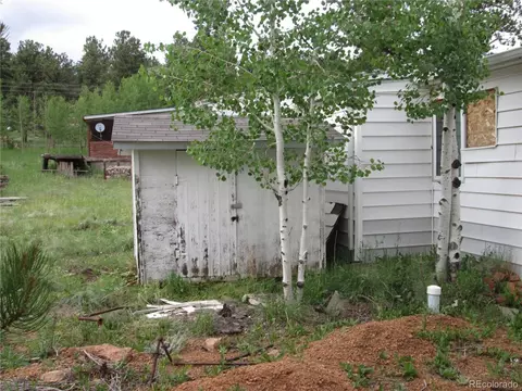 233 Sullivan St, Bailey, CO 80421 photo 4